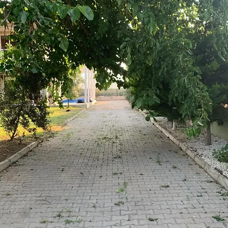 Garden *